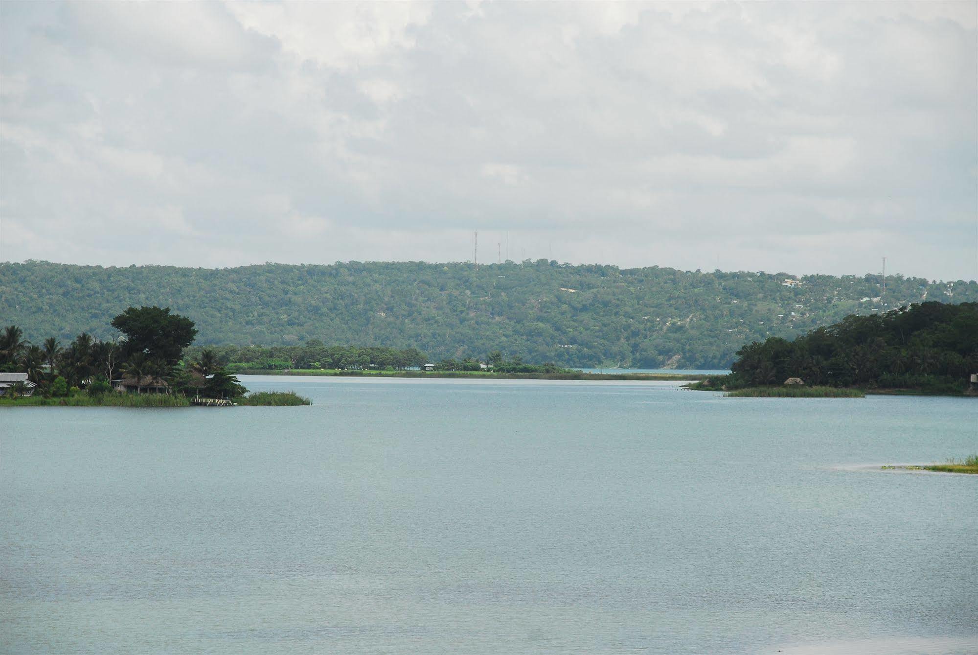 Peten Esplendido Flores Bagian luar foto