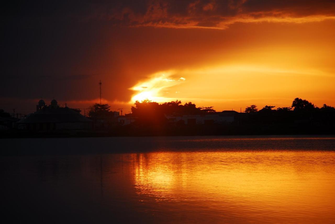 Peten Esplendido Flores Bagian luar foto