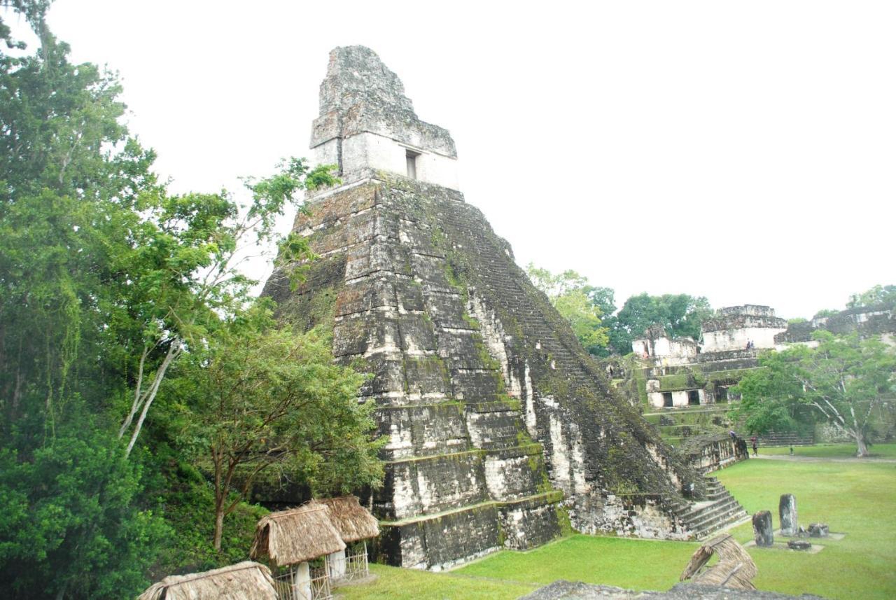 Peten Esplendido Flores Ruang foto