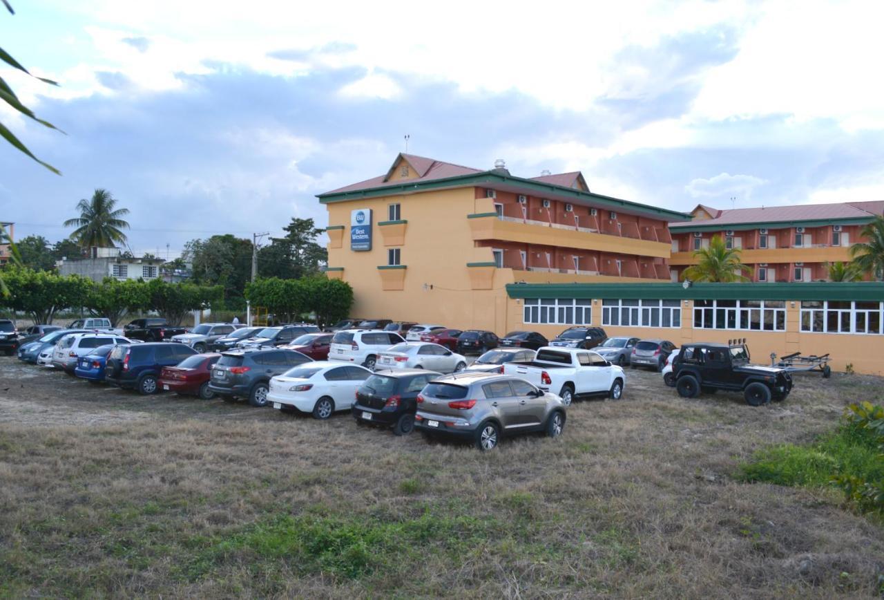 Peten Esplendido Flores Bagian luar foto